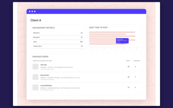 Facebook Marketing Strategy Guide to Success Client engagement metrics screenshot