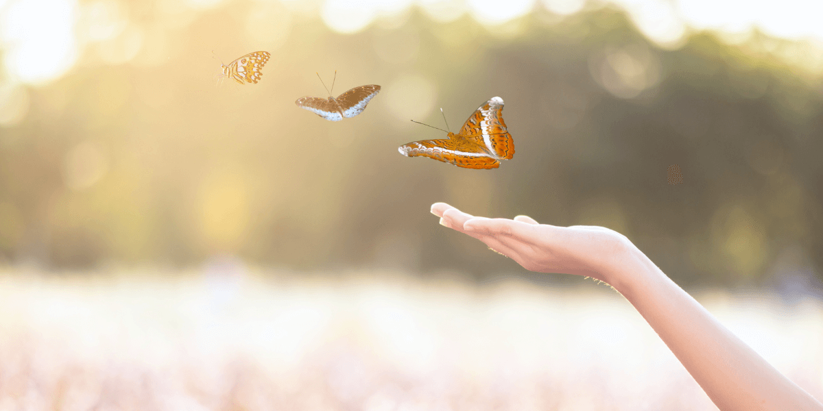 What is Bluesky? A Social Media Marketing Guide for Businesses